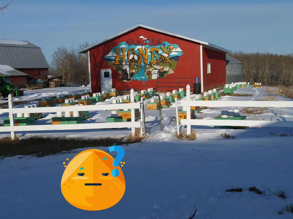 2021 Season photo 17